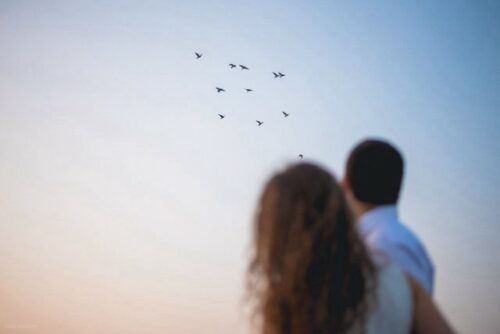 A couple hugging while watching birds fly in the sky.