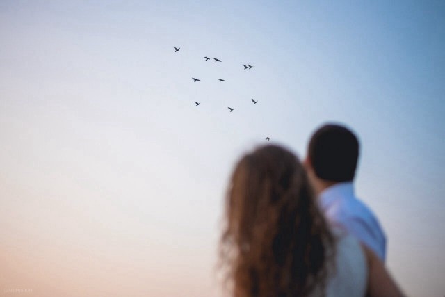 A couple hugging while watching birds fly in the sky.