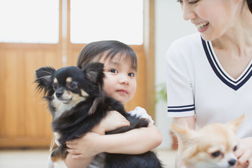 toddler and mom with dogs