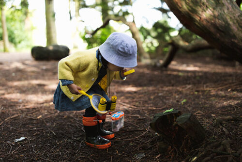 toddler inspecting nature while hiking