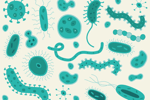 Image of germs.