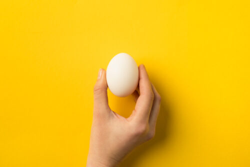 A person holding an egg meant to represent an egg donation for someone trying to get pregnant.