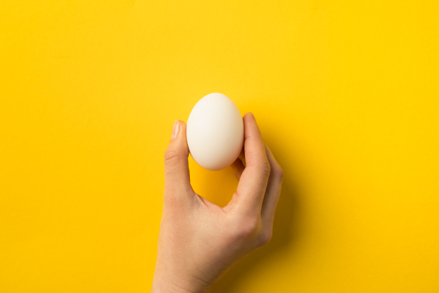 A person holding an egg meant to represent an egg donation for someone trying to get pregnant.