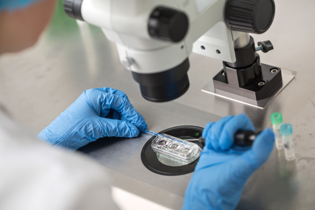 A medical professional examining an IVF.