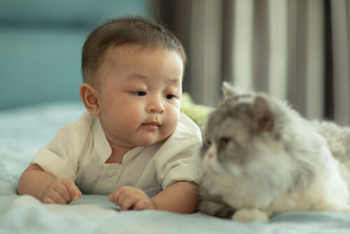 baby with cat