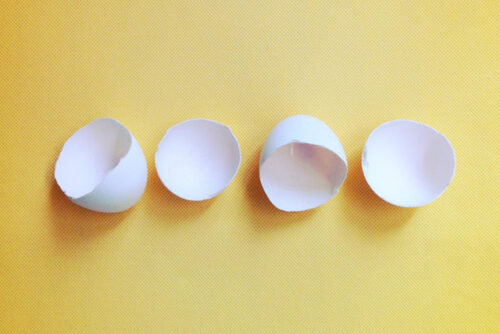 Four egg shells.