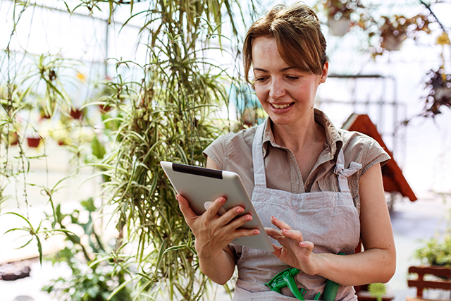 woman working looking at tablet.