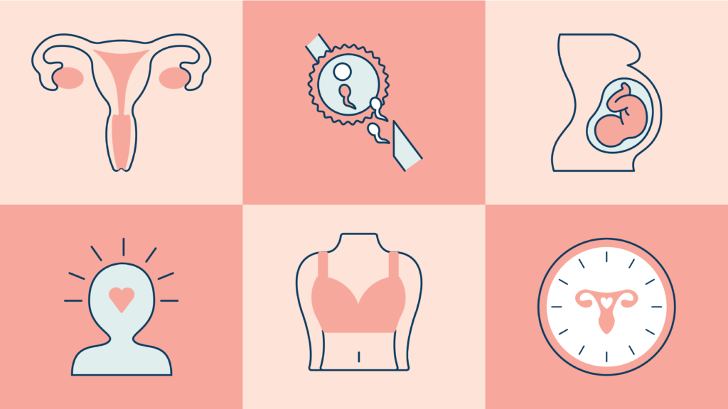 6 pillars of women's health