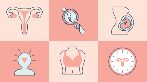 6 pillars of women's health