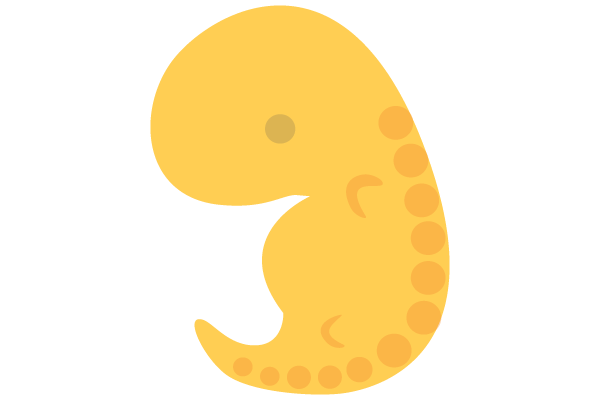 illustration of human zygote at 5 weeks pregnant