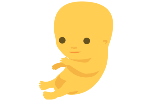 fetus at 9 weeks