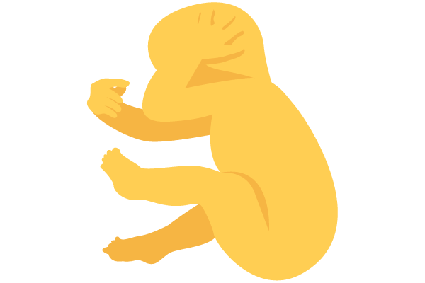 illustration of developing human baby at 30 weeks