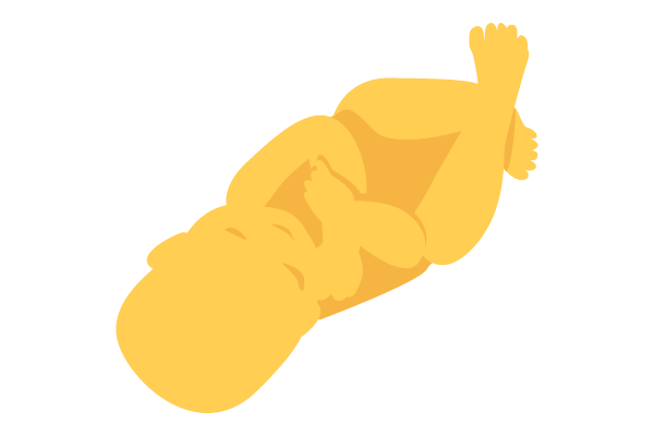 illustration of developing human baby at 33 weeks