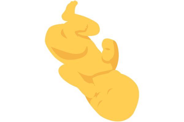 illustration of developing human baby at 37 weeks
