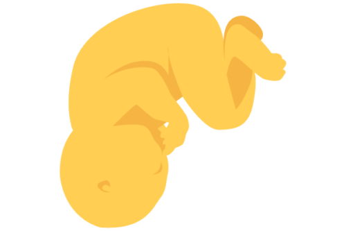 illustration of developing human baby at 38 weeks