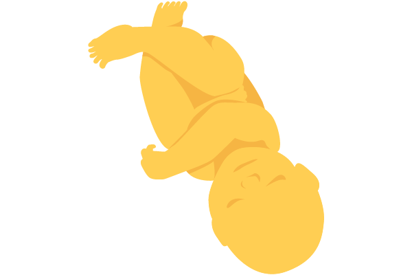 illustration of developing human baby at 40 weeks