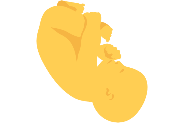 illustration of developing human baby at 41 weeks