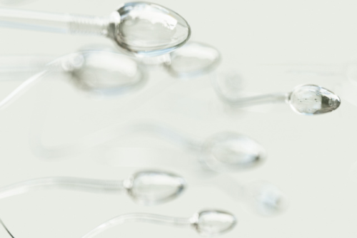 A close up representation of several sperm throughout their lifespan.